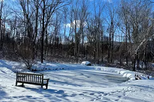 46 Spooner Hill Rd, Kent, CT 06785 - Photo 35