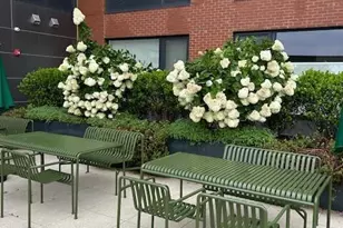 42 John St, Stamford, CT 06902 - Photo 13