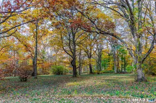 249 Woodbury Rd, Washington, CT 06793 - Photo 23