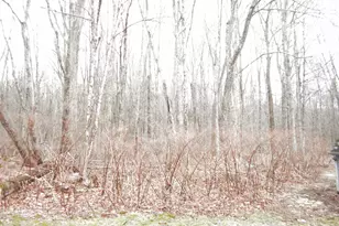 340 Hanks Hill Rd, Mansfield, CT 06268 - Photo 9