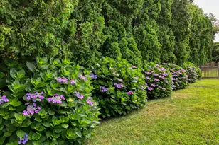 26 Pearsall Pl, Bridgeport, CT 06605 - Photo 29