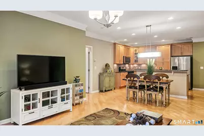 203 Center Meadow Lane #203, Danbury, CT 06810 - Photo 9