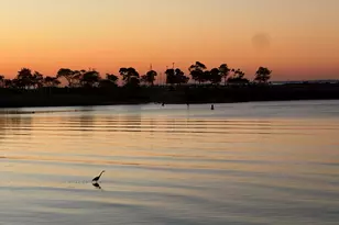 27 Owenoke Park, Westport, CT 06880 - Photo 35