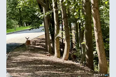 6A South Brook Drive, Stamford, CT 06903 - Photo 15