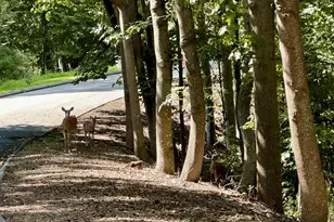 6A South Brook Dr, Stamford, CT 06903 - Photo 15