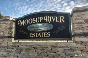 6 Grace Ln, Plainfield, CT 06354 - Photo 35