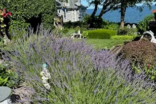 11 Woodruff St, West Haven, CT 06516 - Photo 35