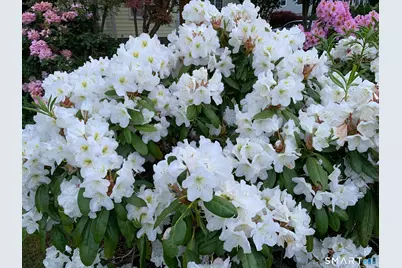 220 Hilltop Circle, Trumbull, CT 06611 - Photo 25