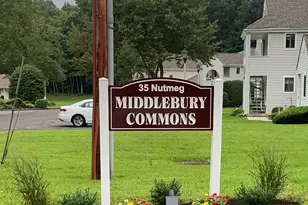 35 Nutmeg Rd, Middlebury, CT 06762 - Photo 19