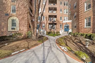 169 Mason St, Greenwich, CT 06830 - Photo 19