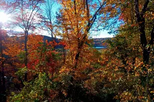 36 Bigelow Rd, New Fairfield, CT 06812 - Photo 37