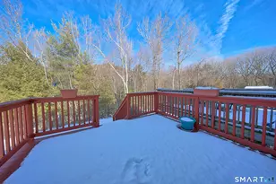 151 Downes St, Waterbury, CT 06704 - Photo 23