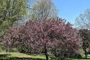 925 Oronoke Rd, Waterbury, CT 06708 - Photo 29