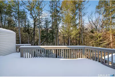 10 Trout Brook Circle #10, Newtown, CT 06470 - Photo 35