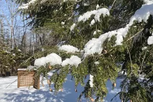 10 Highland Ave, East Haddam, CT 06469 - Photo 39