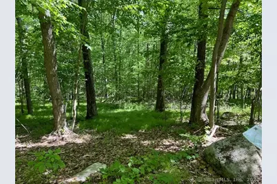 13 Jordan Hill Road Lot #4, Newtown, CT 06482 - Photo 3