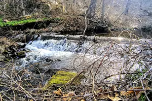 21b Hoydens Hill Rd, Fairfield, CT 06824 - Photo 37