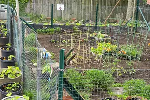 235 Burnsford Ave, Bridgeport, CT 06606 - Photo 37