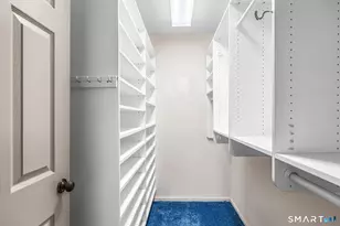 141 The Meadows, Enfield, CT 06082 - Photo 19