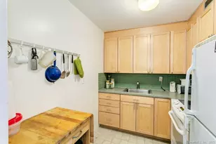 100 York St, New Haven, CT 06511 - Photo 7