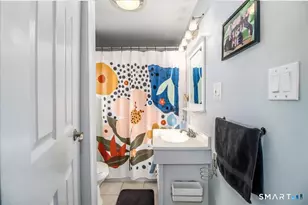 108 Forty Acre Mountain Rd, Danbury, CT 06811 - Photo 15