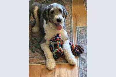 186 Mill Street, Hartland, CT 06065 - Photo 35