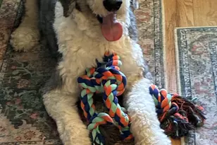 186 Mill St, Hartland, CT 06065 - Photo 35