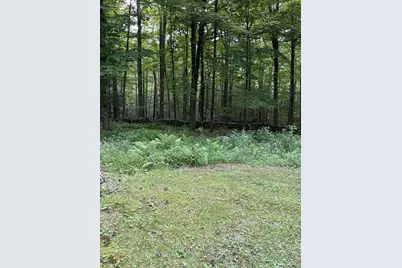 186 Mill Street, Hartland, CT 06065 - Photo 27