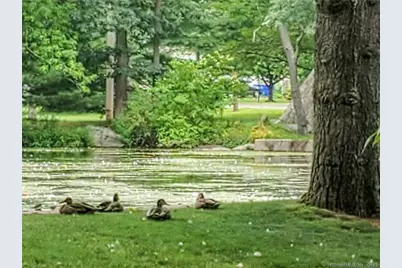 160 Fairfield Woods Road #APT 46, Fairfield, CT 06825 - Photo 11