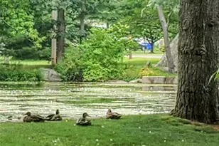 160 Fairfield Woods Rd, Fairfield, CT 06825 - Photo 11