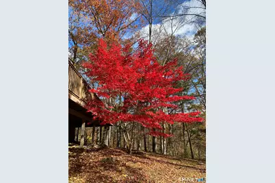 134 Delaware Road, Easton, CT 06612 - Photo 3