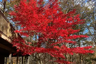 134 Delaware Rd, Easton, CT 06612 - Photo 3