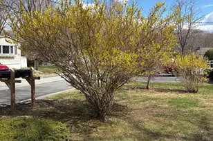 28 Woodland Trail, Killingworth, CT 06419 - Photo 29