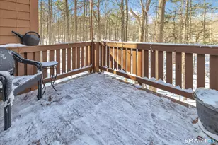 19 Pine Needle Dr, Shelton, CT 06484 - Photo 31