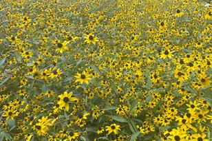 205 E Rocks Rd, Norwalk, CT 06851 - Photo 35