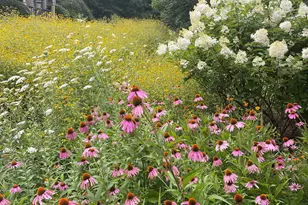 205 E Rocks Rd, Norwalk, CT 06851 - Photo 33