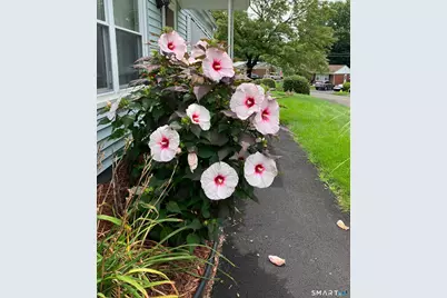 4 Beverly Drive, Ansonia, CT 06401 - Photo 19