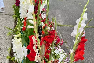 31 Glenwood Ave, Norwalk, CT 06854 - Photo 13