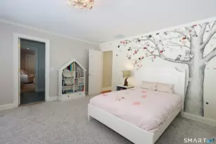 25 Eustis Ln, Ridgefield, CT 06877 - Photo 29