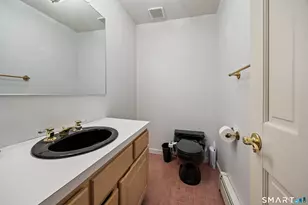 115 Alain White Rd, Morris, CT 06763 - Photo 9