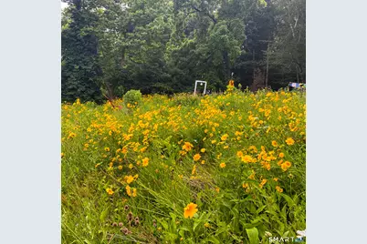 63 Main Street, Middlefield, CT 06481 - Photo 31