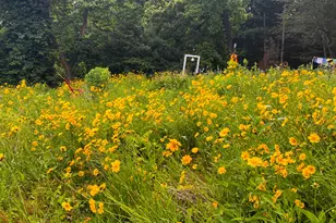 63 Main St, Middlefield, CT 06481 - Photo 31