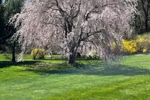 11 Nature Trail, Hamden, CT 06518 - Photo 33