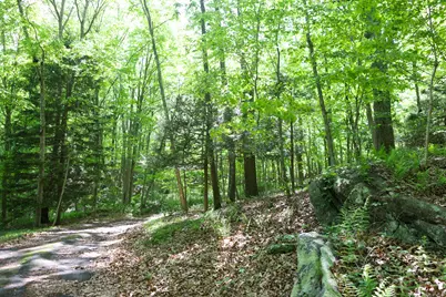 134 Meadow Woods Road, Deep River, CT 06417 - Photo 11