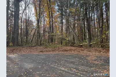 0 Walnut and Larch Drive, Windsor, CT 06095 - Photo 1