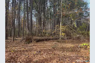 0 Walnut and Larch Drive, Windsor, CT 06095 - Photo 7