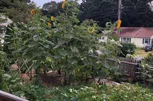 34 Hurd Bridge Rd, Clinton, CT 06413 - Photo 33