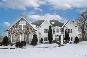 63 Parmalee Hill Rd, Newtown, CT 06470 - Photo 1