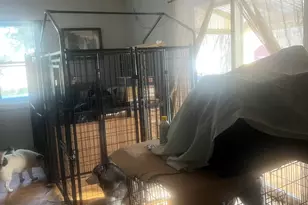 51 Woody Ln, West Haven, CT 06516 - Photo 13