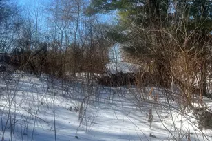 51 Woody Ln, West Haven, CT 06516 - Photo 25